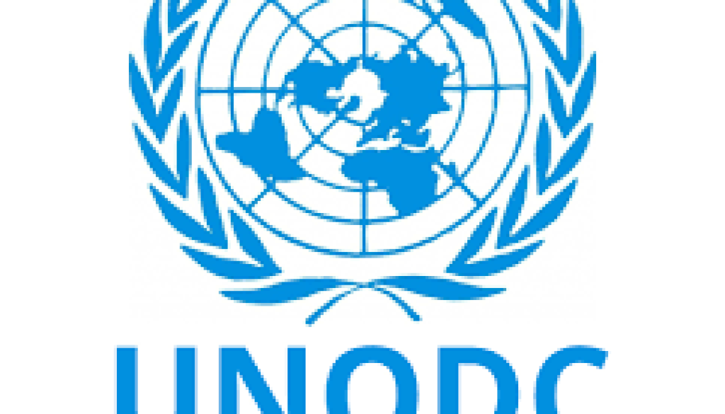 Computer Information Systems Officer Software Implementation Training Engineer Vacancy-Job Ref: WJCIUNODC/2307/2025815