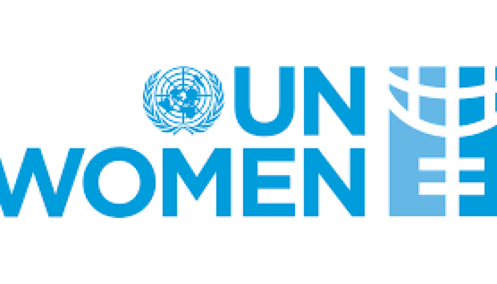 Analyst Program Generation Equality Vacancy-Job Ref: WJCIUNWOMEN/2307/2025818